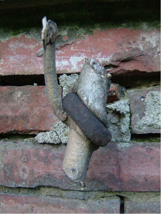 immagine6.jpg