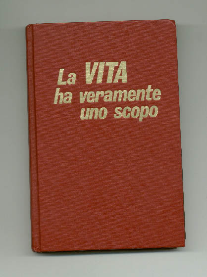 immagine6.jpg