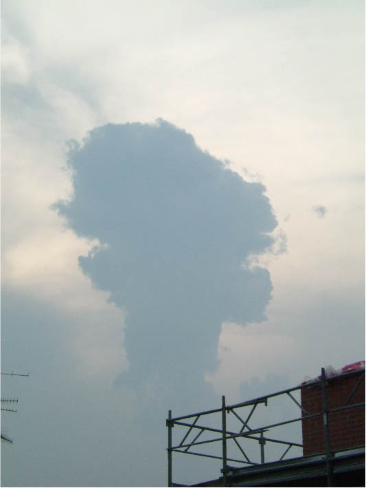 immagine18.jpg