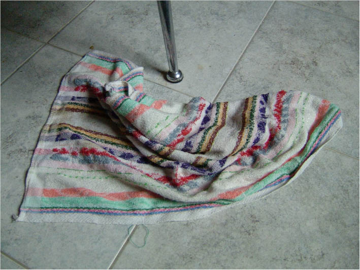 immagine6.jpg