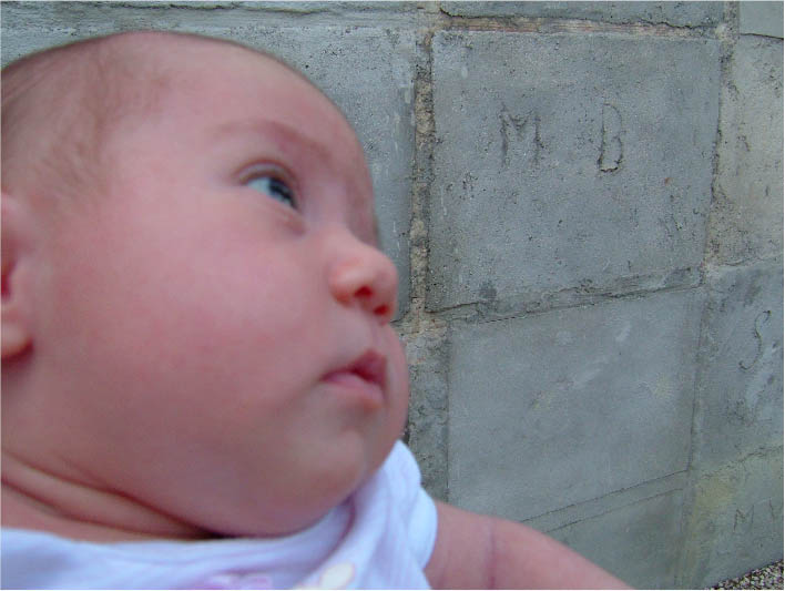 immagine6.jpg