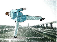immagine6.jpg
