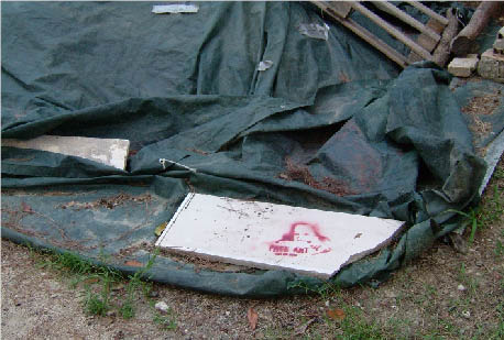 immagine6.jpg