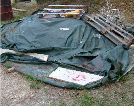 immagine8.jpg