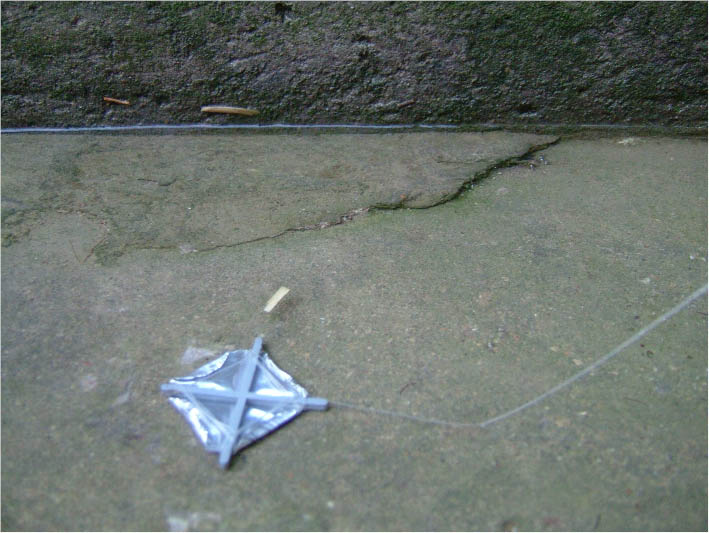 immagine6.jpg