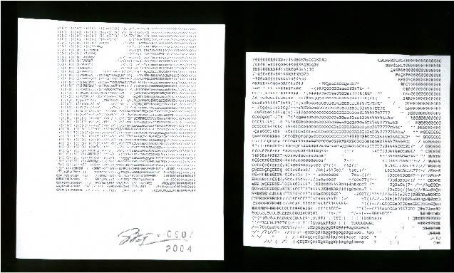 immagine7.jpg
