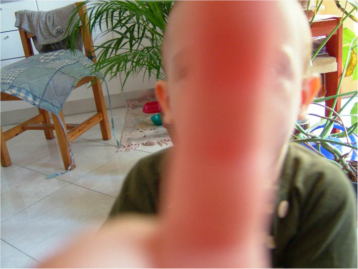 immagine6.jpg