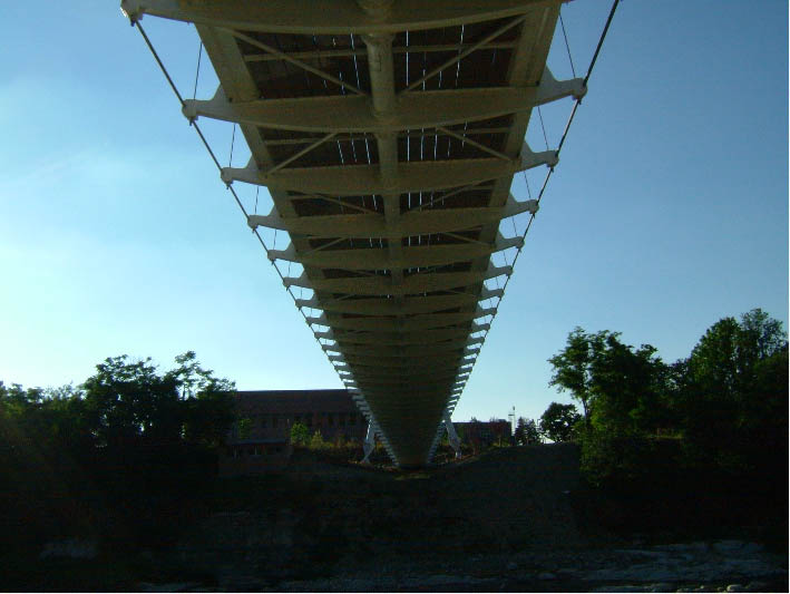 immagine6.jpg