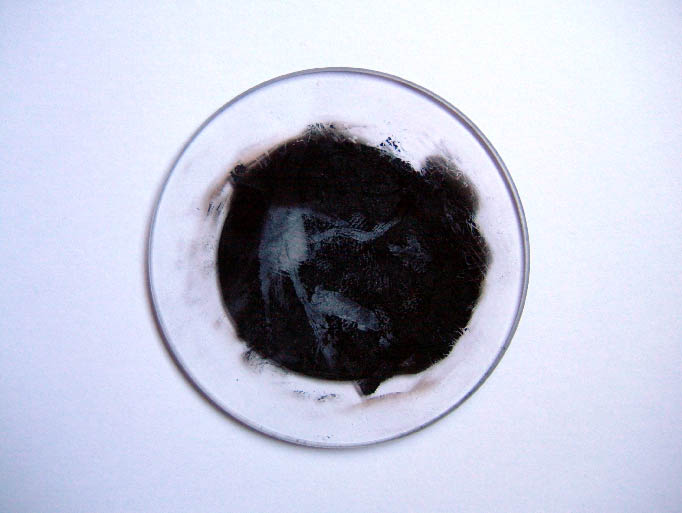 immagine6.jpg