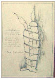 immagine20.jpg