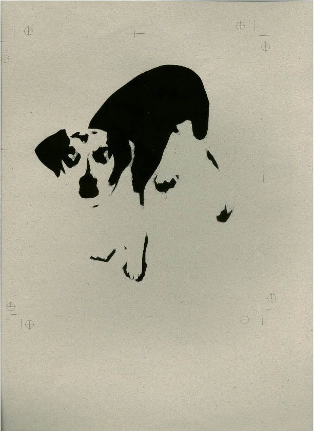 immagine6.jpg