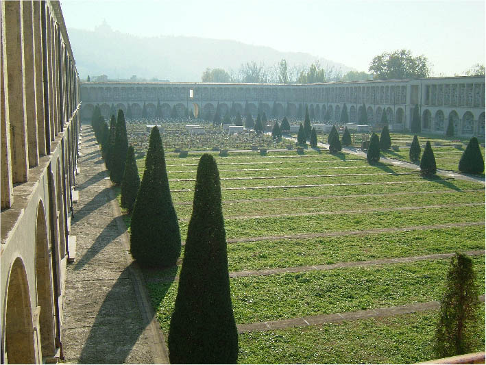 immagine12.jpg