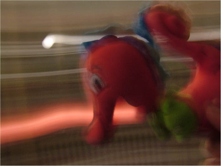 immagine6.jpg