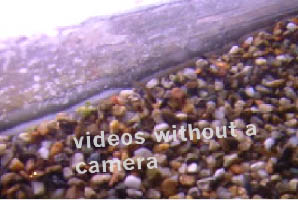 immagine10.jpg