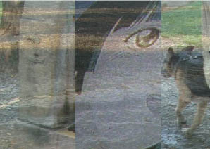 immagine12.jpg