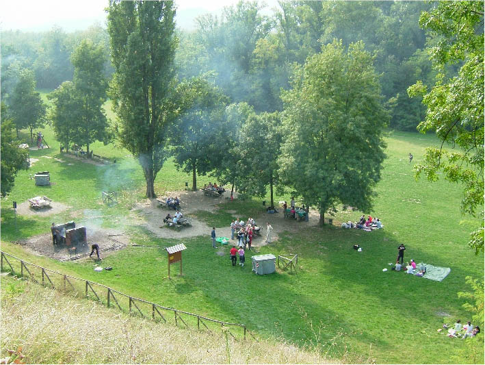 immagine6.jpg