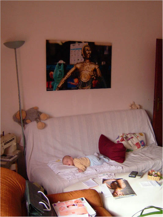 immagine12.jpg