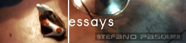 The essays of Stefano Pasquini