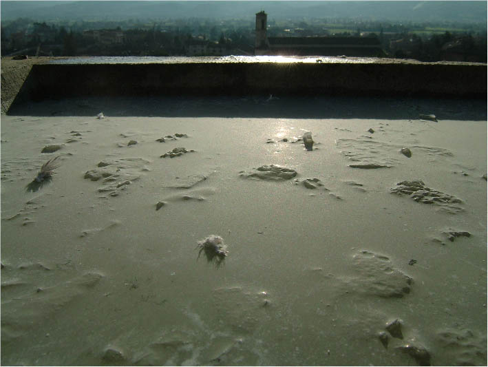 immagine6.jpg