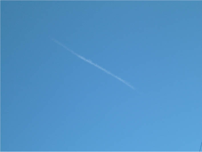 immagine12.jpg