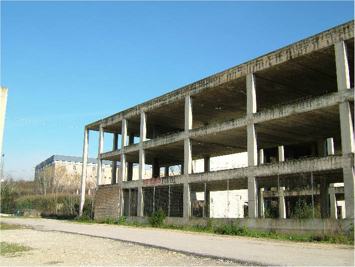 immagine6.jpg