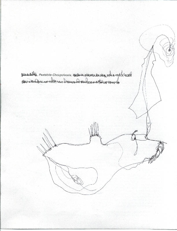 immagine18.jpg