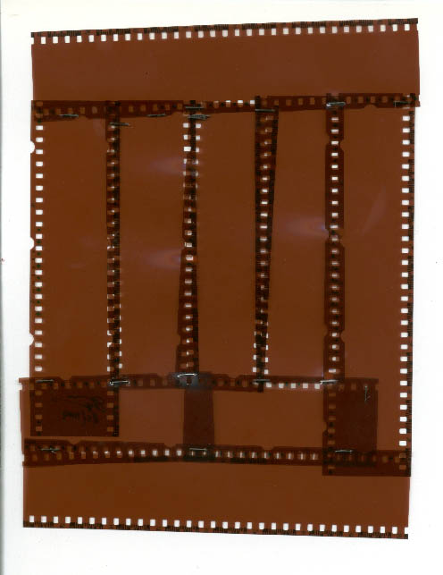 immagine6.jpg