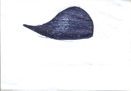 immagine12.jpg