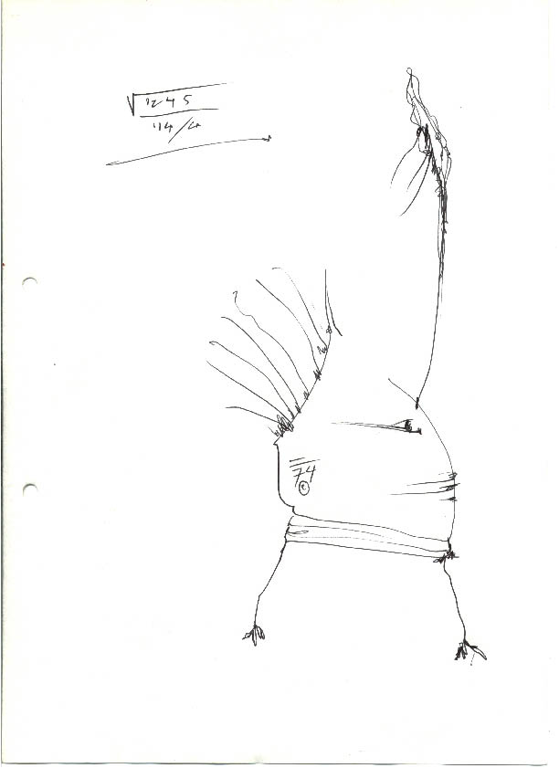 immagine48.jpg