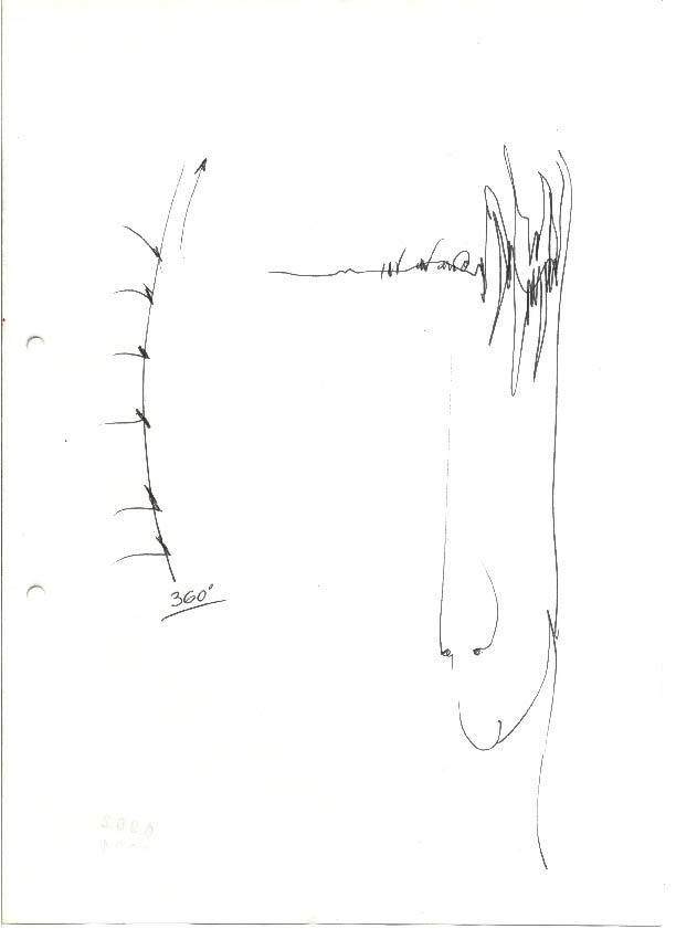 immagine60.jpg