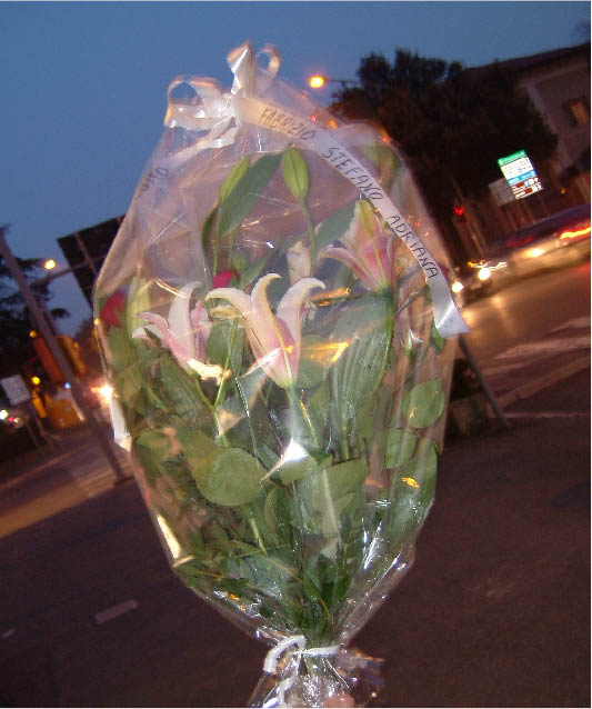 immagine6.jpg