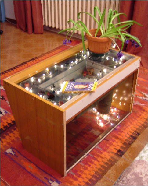 immagine6.jpg