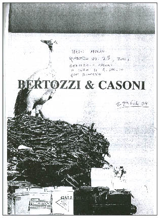 immagine6.jpg