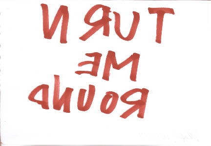 immagine6.jpg