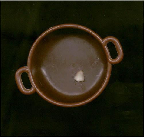 immagine12.jpg