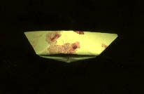 immagine12.jpg